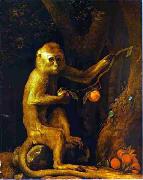 George Stubbs Green Monkey Spain oil painting artist